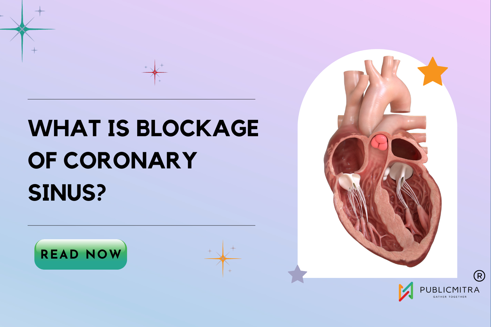 Coronary Sinus