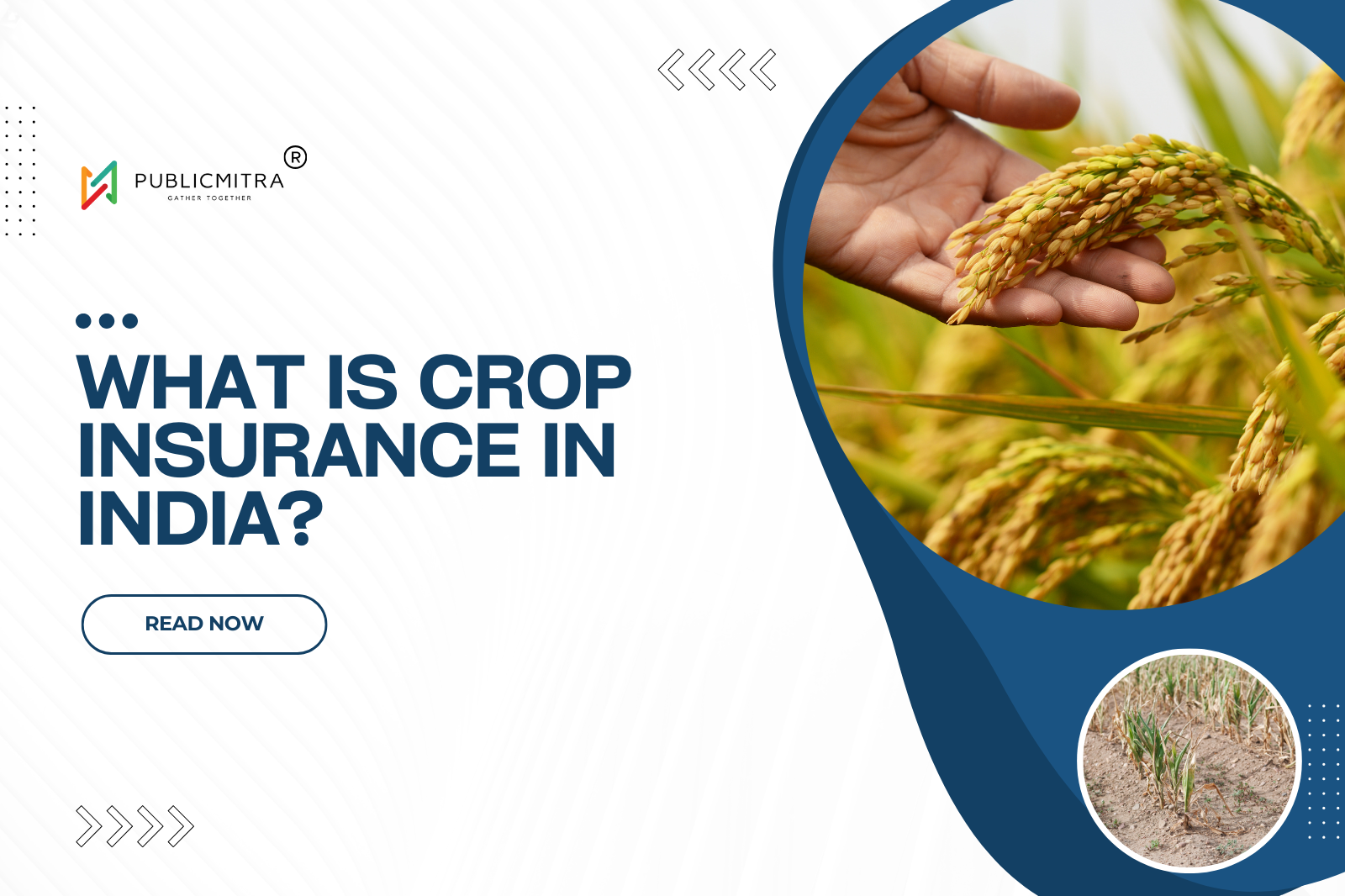 Crop Insurance India