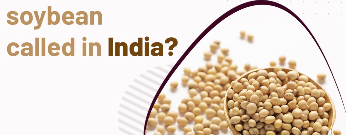soybean-in-india