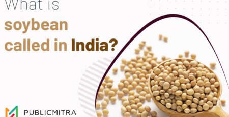 soybean-in-india