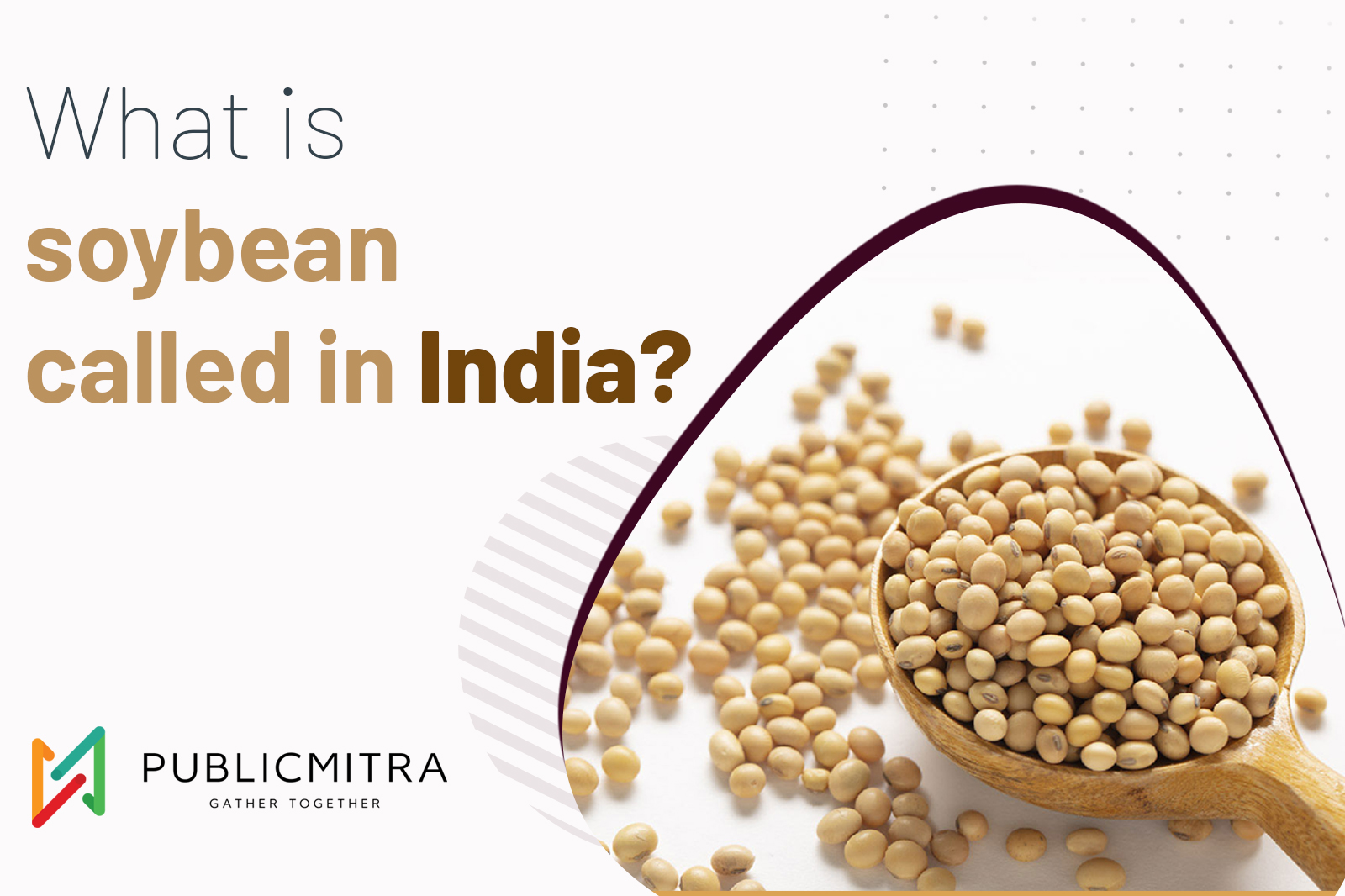 soybean-in-india