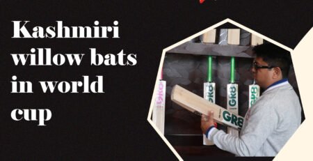 kashmiri-willow-bats