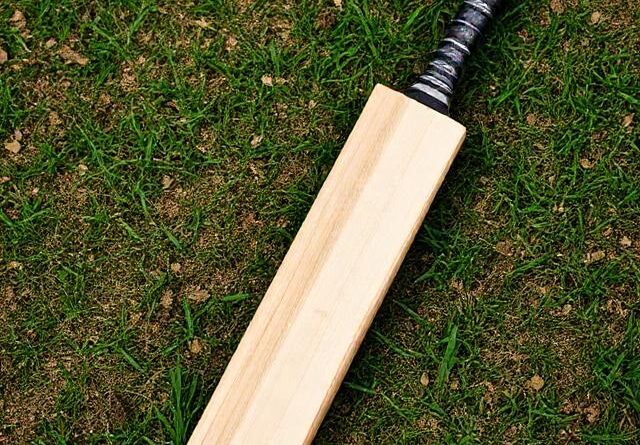 cricket-bat