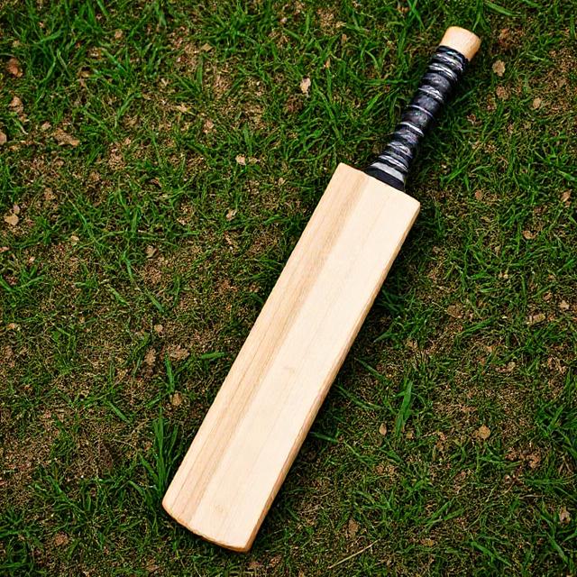 cricket-bat